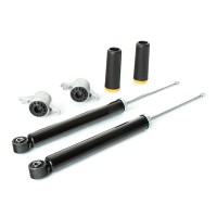 Ansamblu suspensie, amortizor