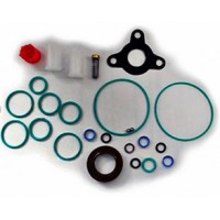 Set garnituri, pompa injectie