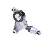 intinzator,curea transmisie